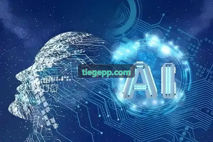 J9娱乐APP商务洽谈情景教学现场